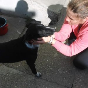 22045724_886998511453703_4116929428759968565_n