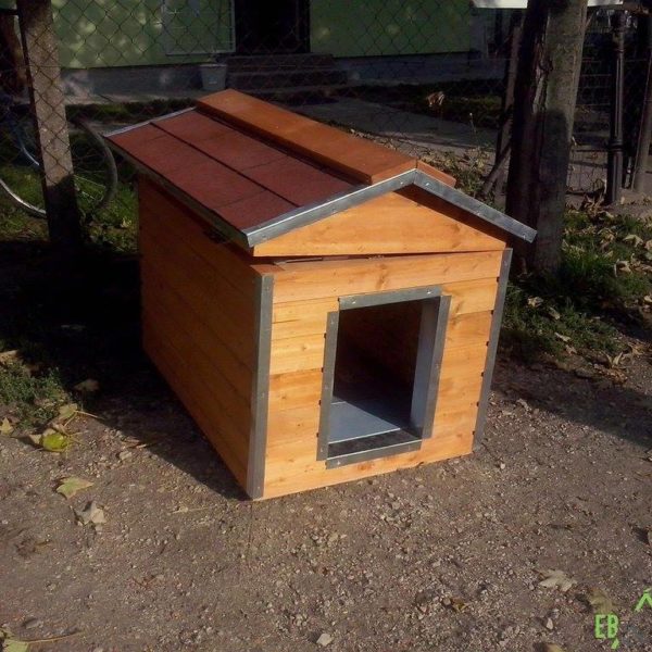 Kutyaház1