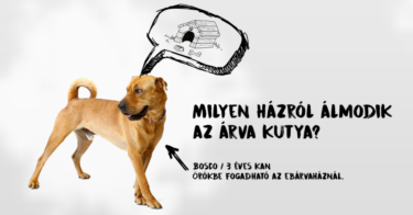 069-face-1200x628px-1024×536