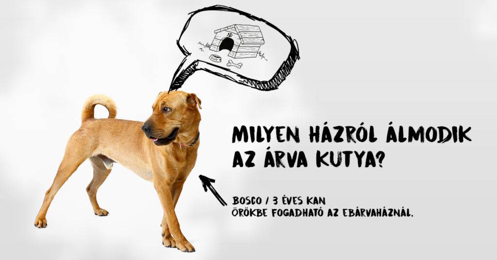 069-face-1200x628px-1024×536