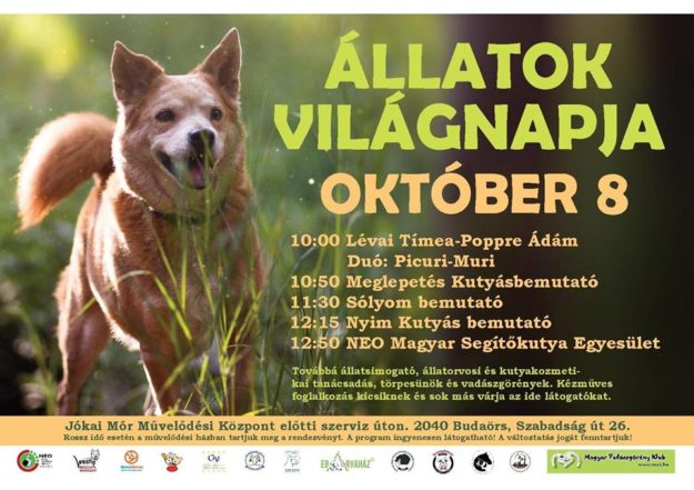 21765138_886979468122274_1025927118083713683_n