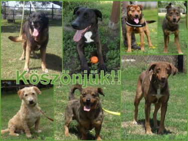 22196209_890000127820208_6998857865531149491_n