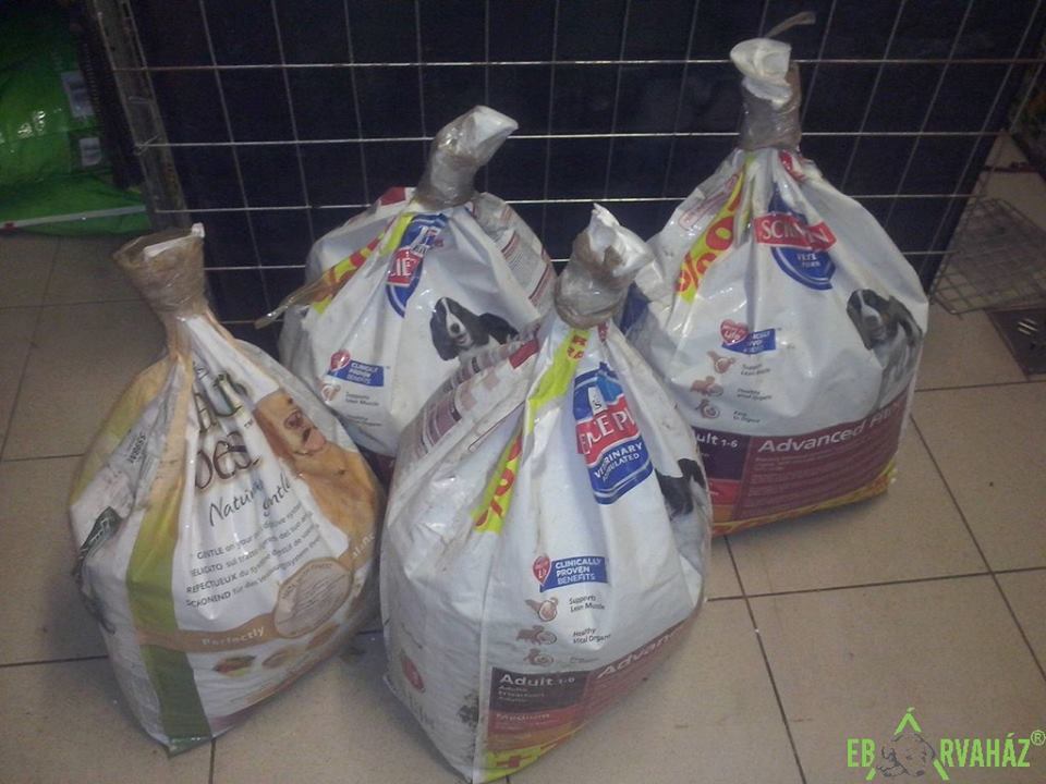 22222010_892097790943775_800581472594954858_n