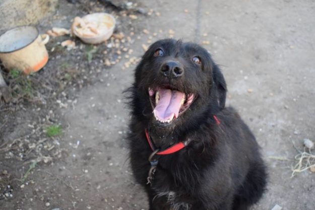 22554880_898289526991268_898397467980481740_n