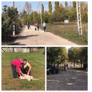 Barkácsnap0 Barkácsnap0