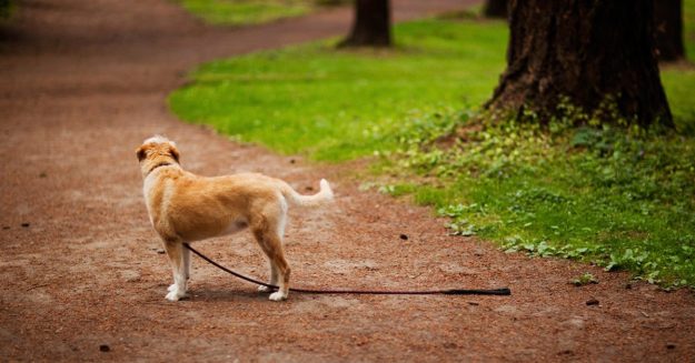 13662653495a05613da4448