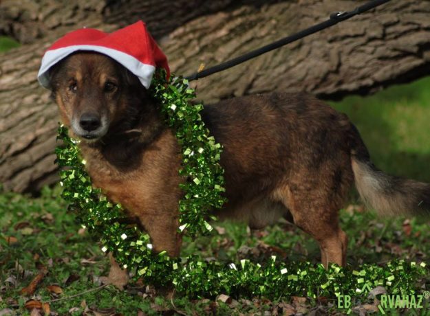 23316274_909093812577506_5195907057154609165_n