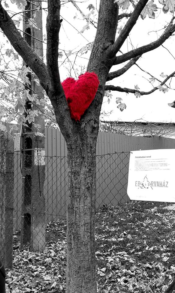 23319380_909621705858050_5689813682961876871_n