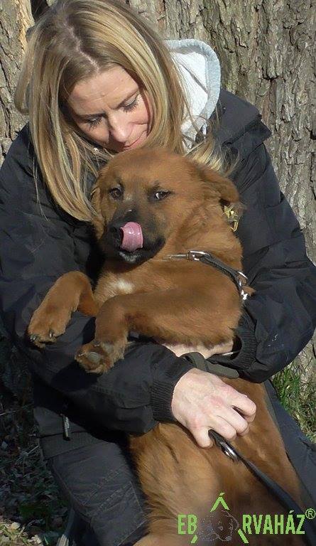 23376297_908341902652697_8062269312920655654_n