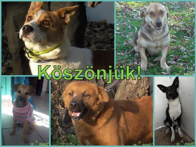 23472243_911197675700453_388581208493117088_n