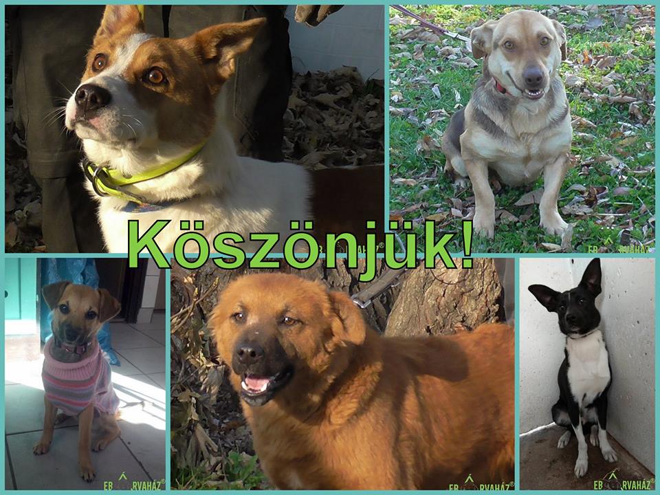 23472243_911197675700453_388581208493117088_n