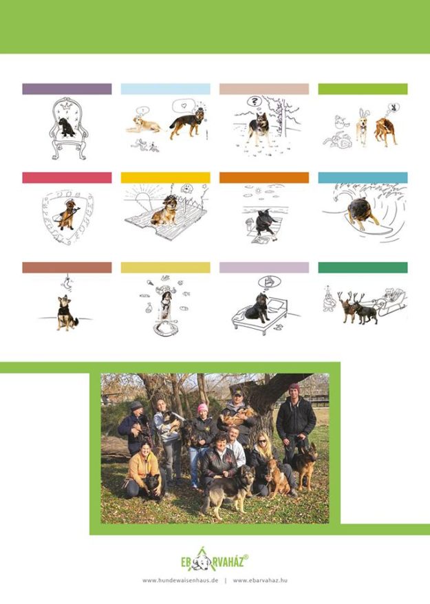 23559785_913770392109848_3362451567854745541_n