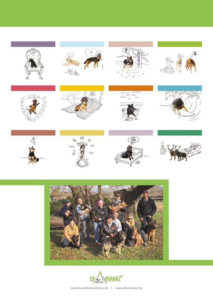 23559785_913770392109848_3362451567854745541_n