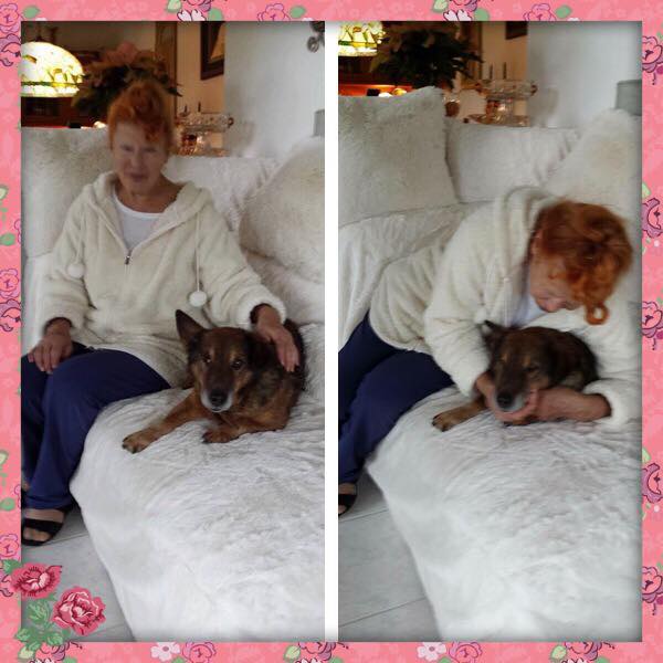 23772351_10214964205009116_1543888205_n