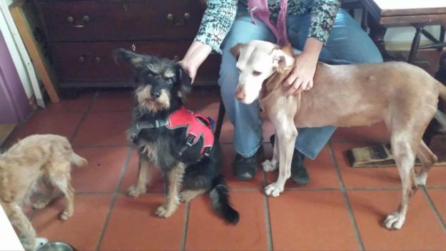 24058751_919981144822106_3003122686374617375_n