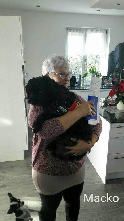 24067945_919499028203651_2919510628621384885_n