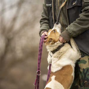 DSC04244_k DSC04244_k