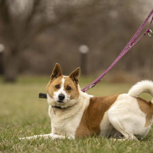 DSC04249_k DSC04249_k