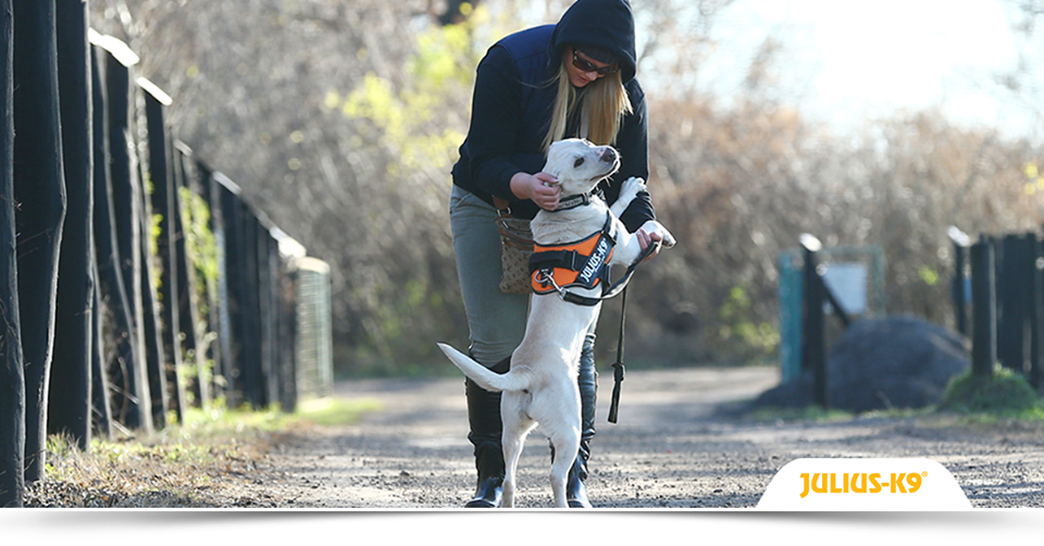 24177129_1407176592714746_982482159478687827_n