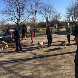 25105690_10215133268675602_377079430_n