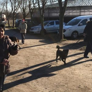 25181539_10215133270475647_1285118736_n