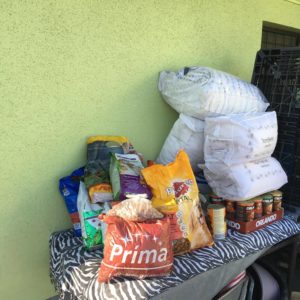 25270943_10215132650740154_1057472255_o