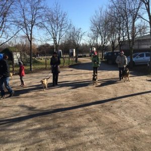 25276352_10215133269755629_1289103898_n