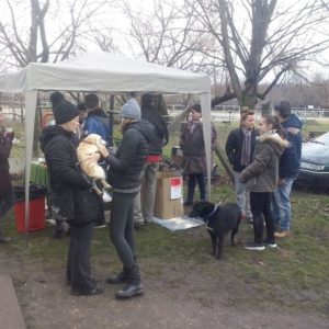 25348439_929594363860784_1380999626801215469_n