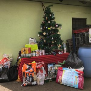 25348505_929594040527483_165935501995714334_n 25348505_929594040527483_165935501995714334_n