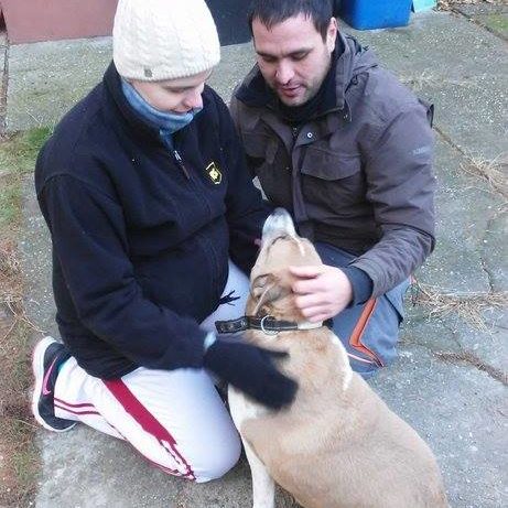 25398872_930751450411742_7555445735957043586_n 25398872_930751450411742_7555445735957043586_n