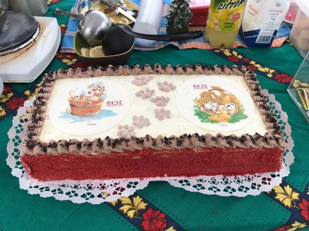 25398914_929589610527926_5500939198621511929_n