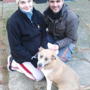 25442804_930751417078412_668136596996486606_n