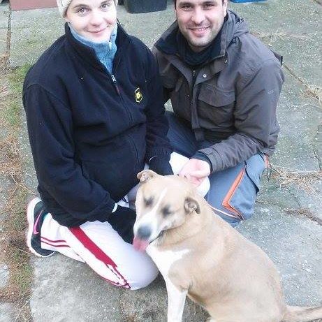 25442804_930751417078412_668136596996486606_n