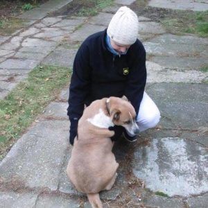 25443217_930751480411739_5542687134370841268_n 25443217_930751480411739_5542687134370841268_n