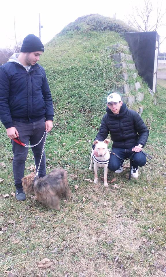 26230968_942532235900330_2818633768032436182_n