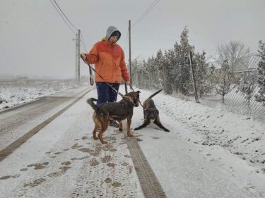 26230991_943880605765493_6975344970683771819_n