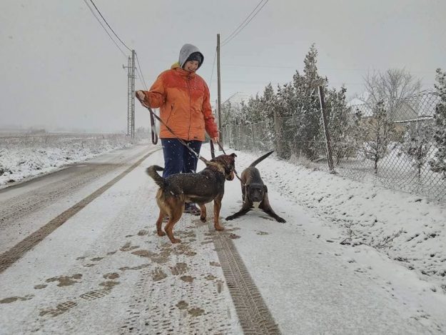 26230991_943880605765493_6975344970683771819_n