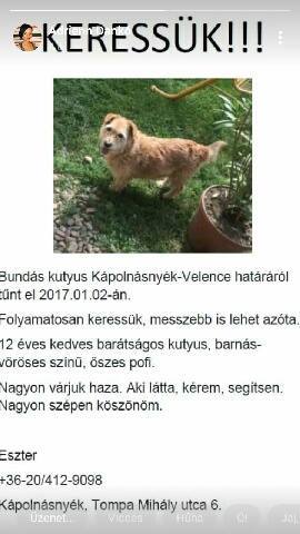 26239459_942522409234646_1169285190853782443_n