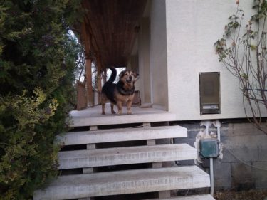 26814745_942531295900424_1831673251835386249_n