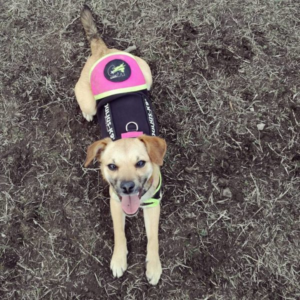 26993961_952109351609285_2201828656639281840_n