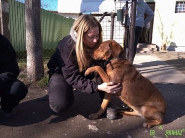 27336684_953227861497434_3523901358627954848_n