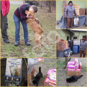 Bajor adomány Bajor adomány