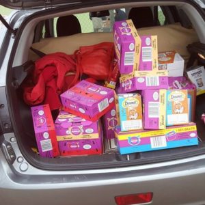 Bajor adomány1 Bajor adomány1