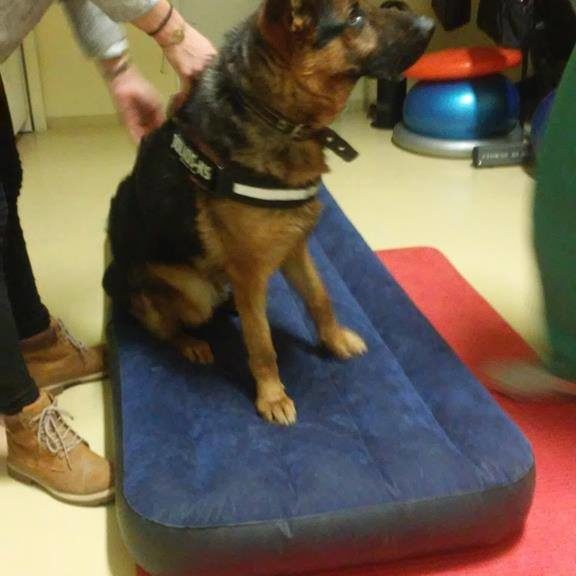 Fizikoterápia1 Fizikoterápia1