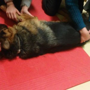 Fizikoterápia2 Fizikoterápia2