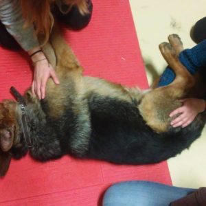 Fizikoterápia3 Fizikoterápia3