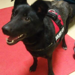 Fizikoterápia4 Fizikoterápia4