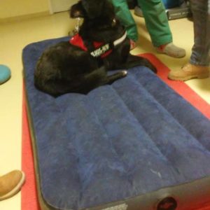 Fizikoterápia5 Fizikoterápia5