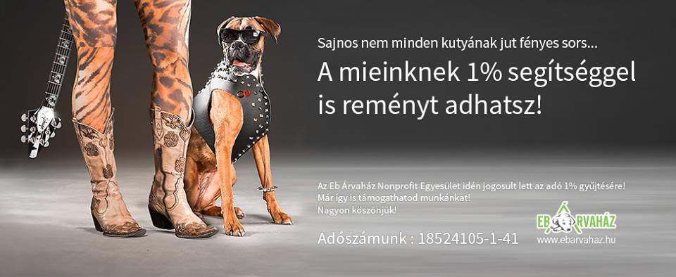 18342578_807283096091912_7770649707178630932_n