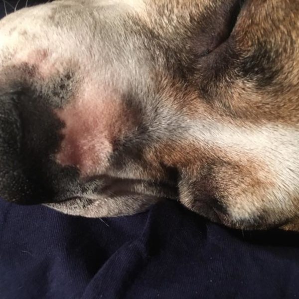 27545058_957406814412872_6765932463328466696_n